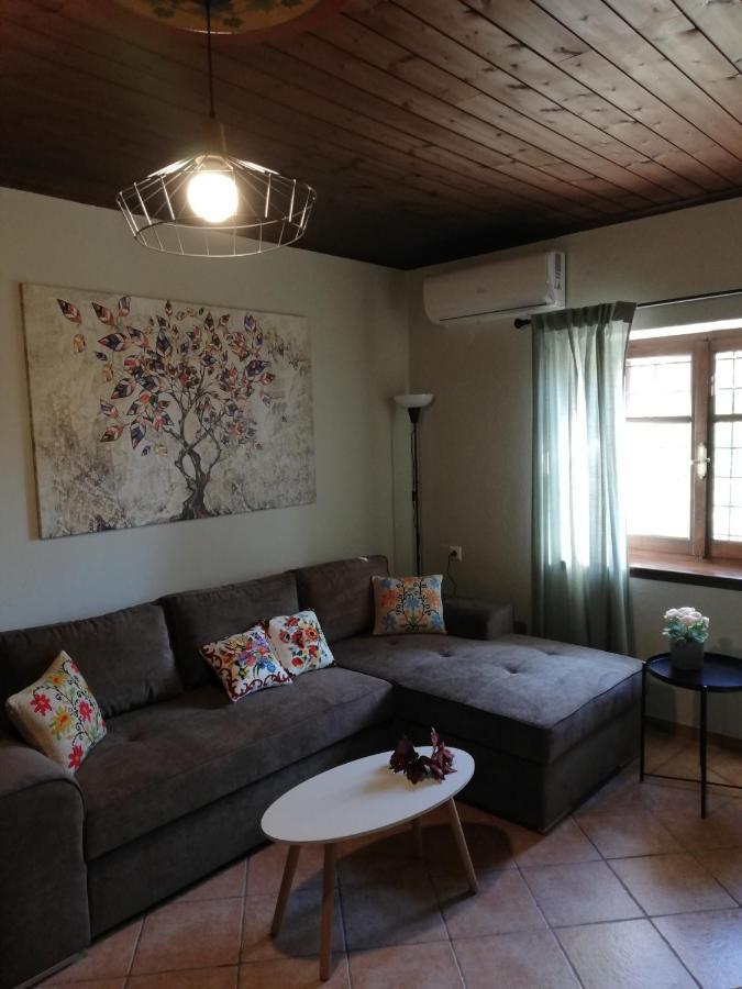 Endless View Country House Makrinitsa Exterior photo
