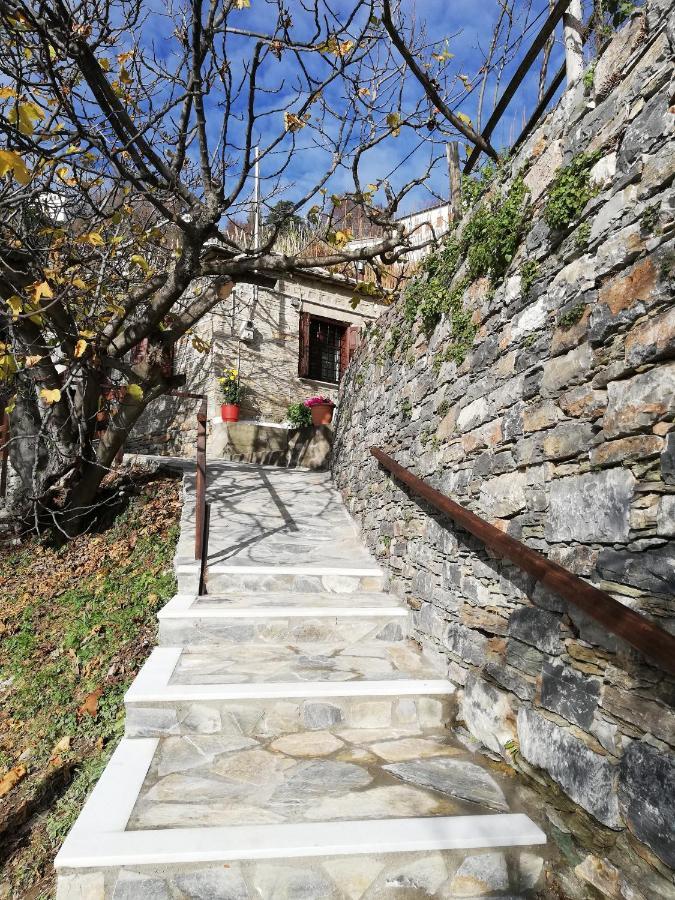 Endless View Country House Makrinitsa Exterior photo