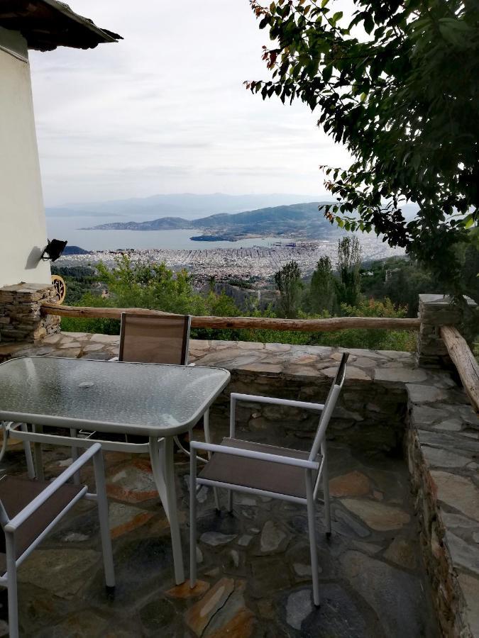 Endless View Country House Makrinitsa Exterior photo